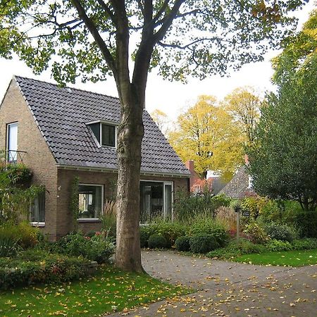 B&B De Esdoorn Norg Exteriör bild