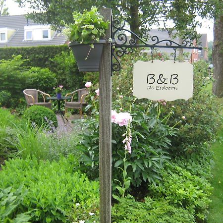 B&B De Esdoorn Norg Exteriör bild