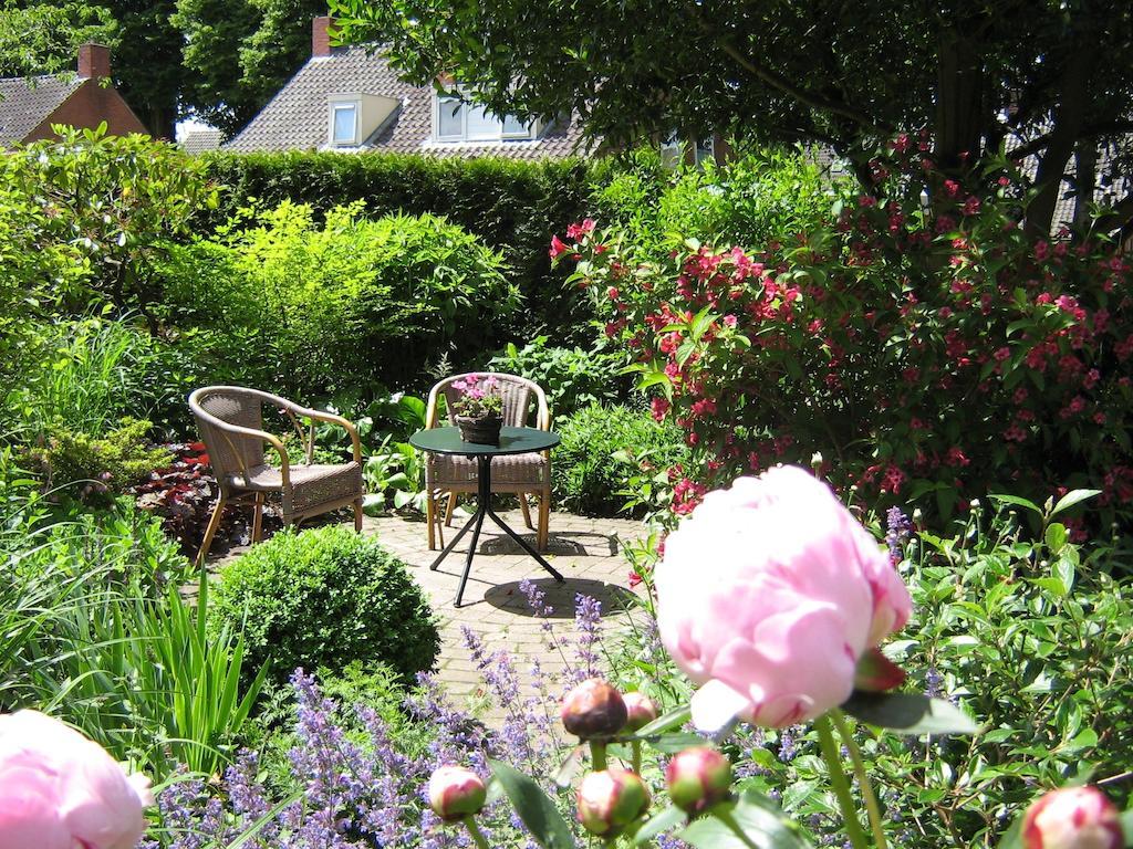 B&B De Esdoorn Norg Exteriör bild
