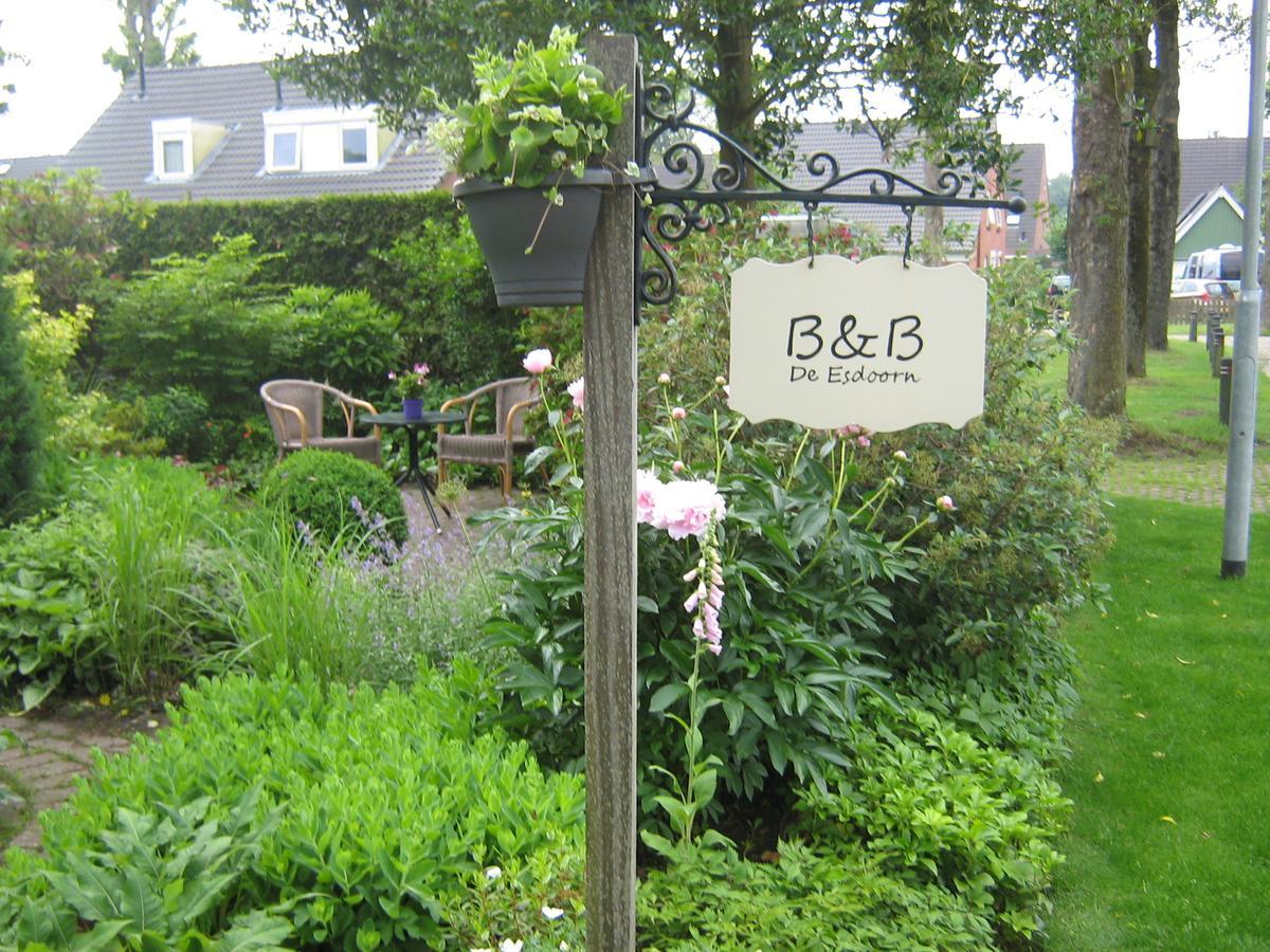 B&B De Esdoorn Norg Exteriör bild